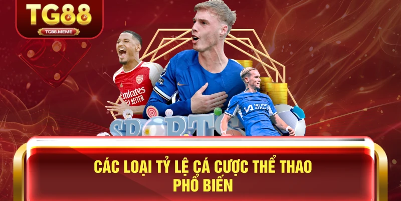 Các Loại Tỷ Lệ Cá Cược Thể Thao Phổ Biến